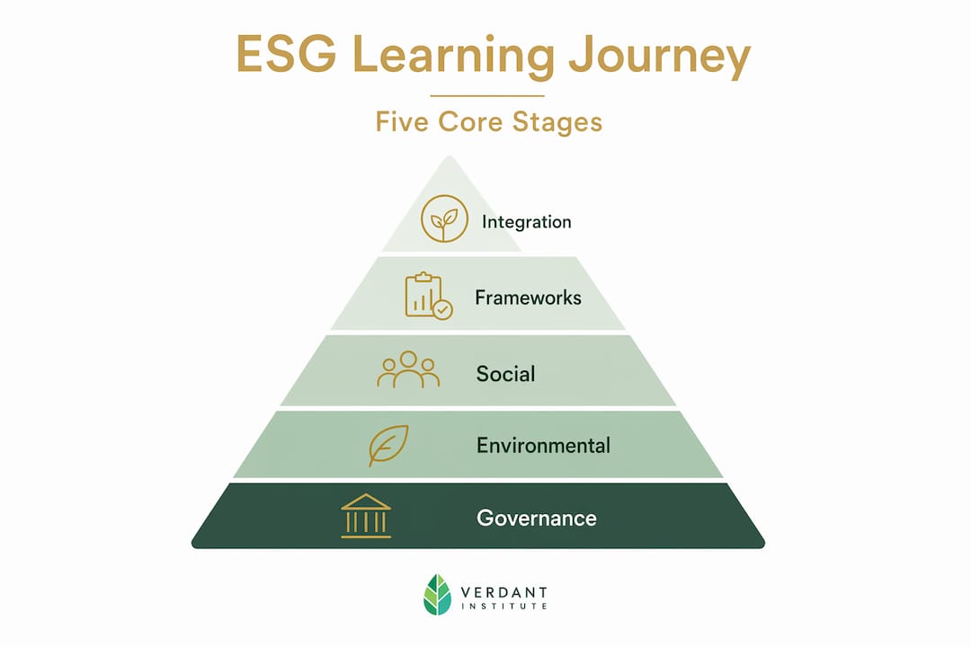 Infographic showing hierarchy of ESG learning stages