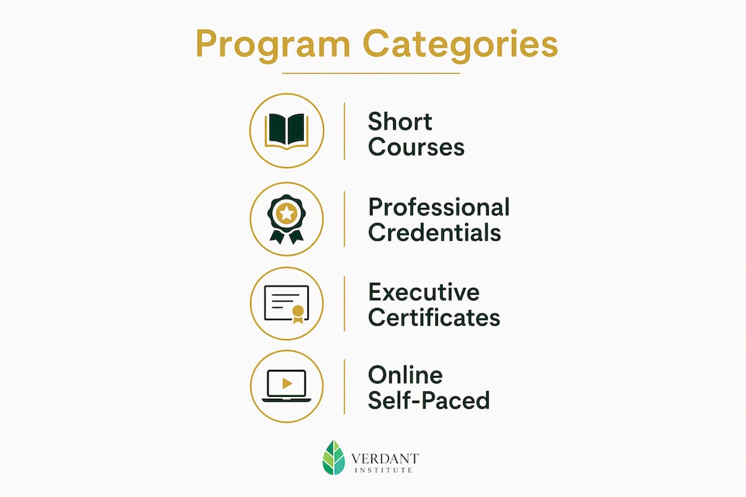 Infographic depicting main sustainable finance program categories