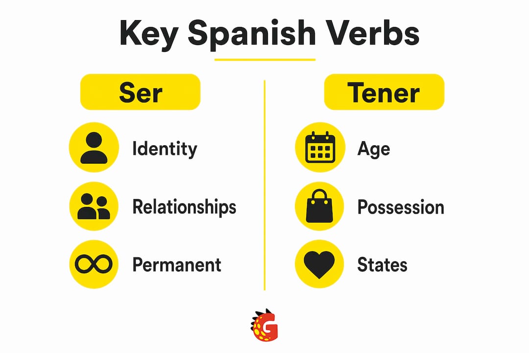 Infographic comparing Spanish verbs ser and tener