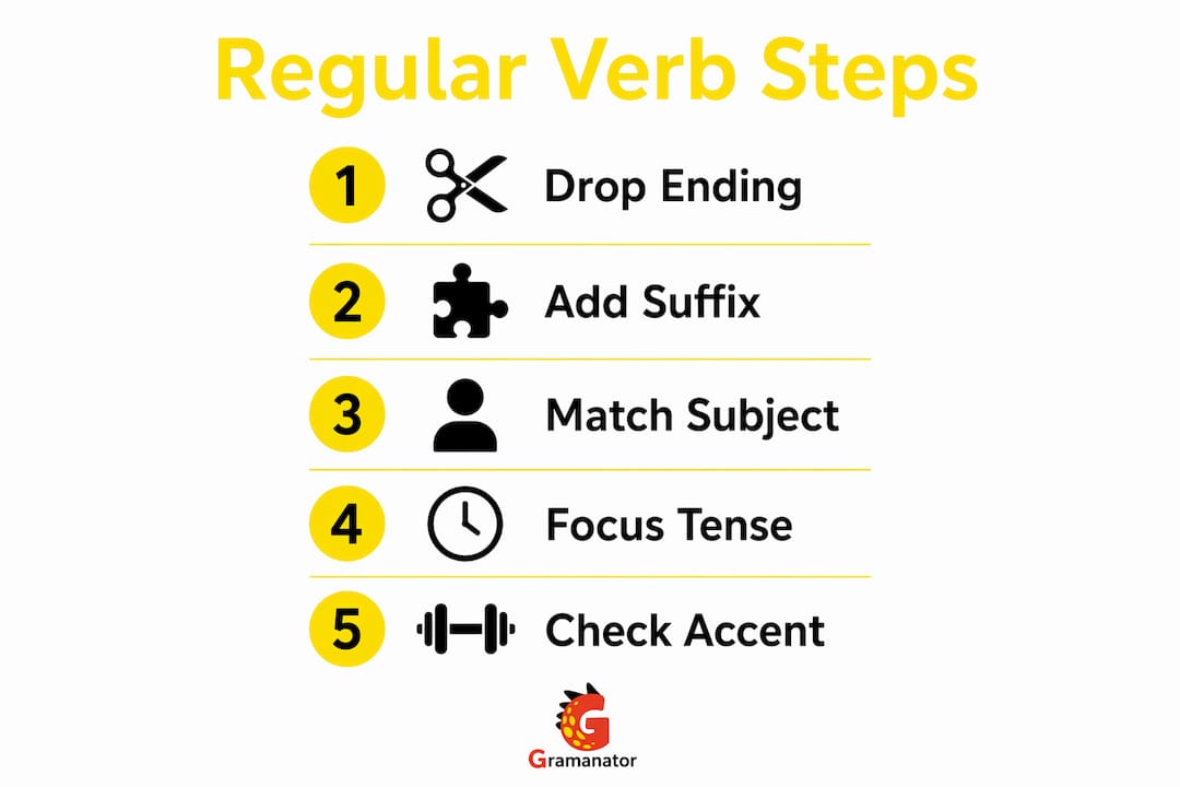 Infographic showing steps to conjugate regular Spanish verbs