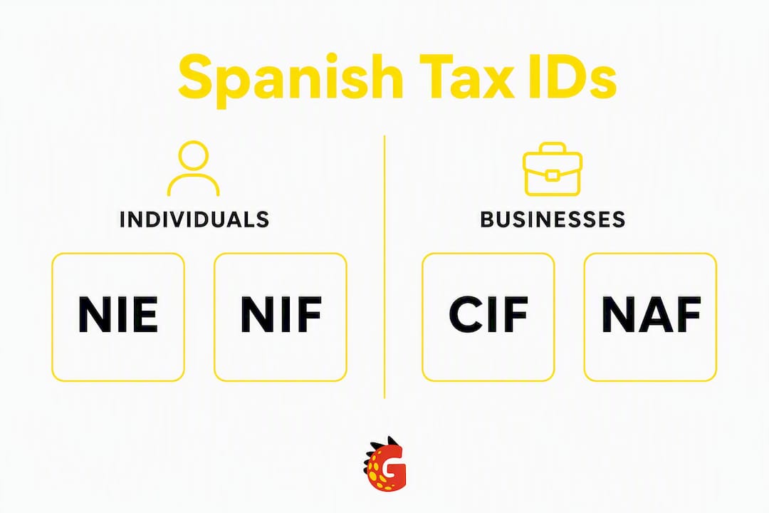 Infographic comparing Spanish individual and business tax IDs