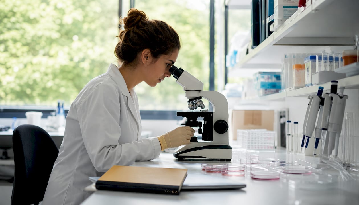 Hands using microscope examining fibroblast cells