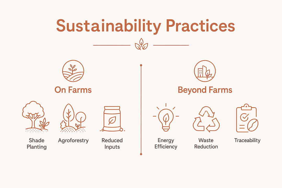 Infographic comparing farm and beyond farm sustainability