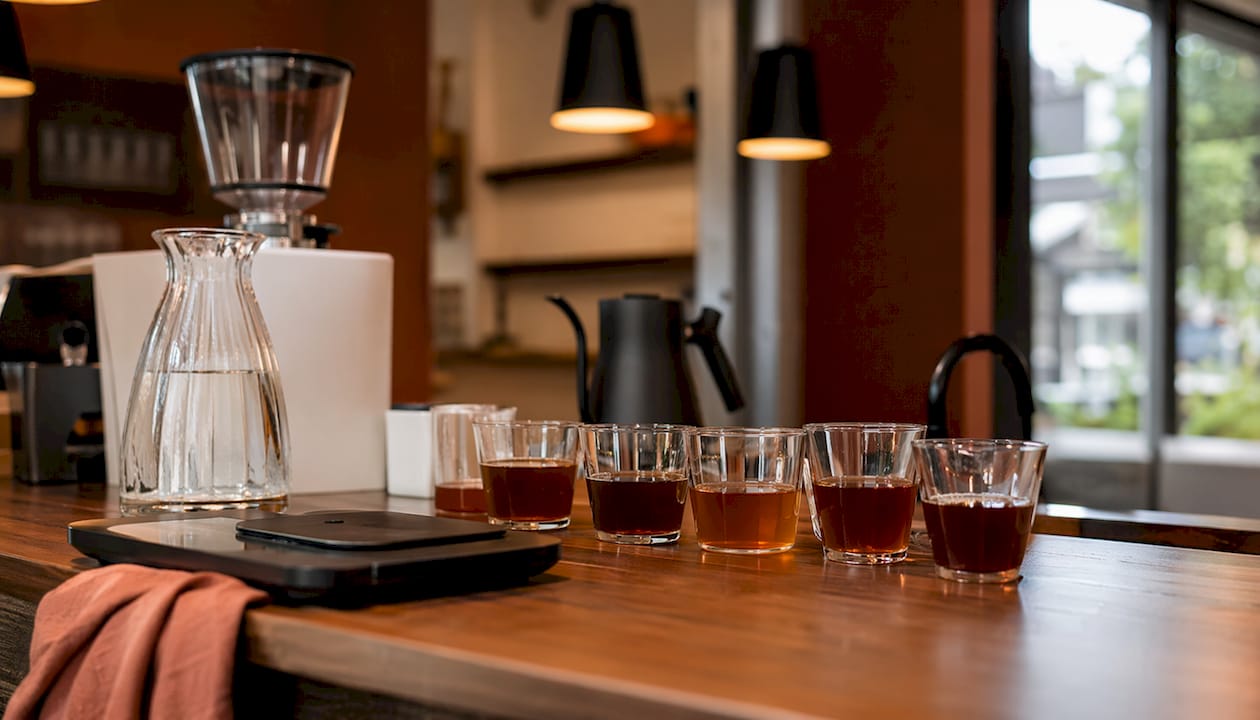 Curated coffee tasting setup with glass cups