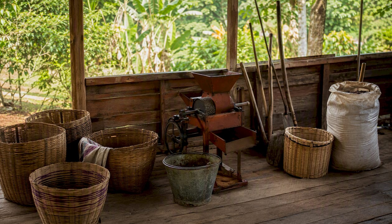 Sustainable coffee farming tools in shed