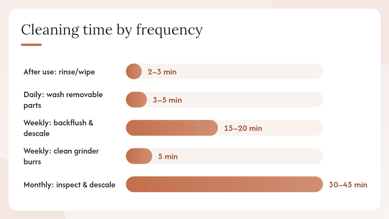 Diagram of coffee equipment cleaning schedule and tasks
