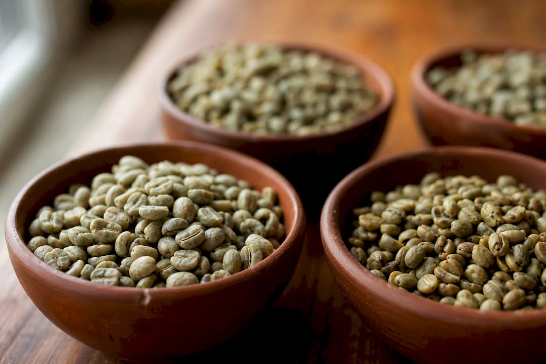 Close-up bowls with different green coffee varietals