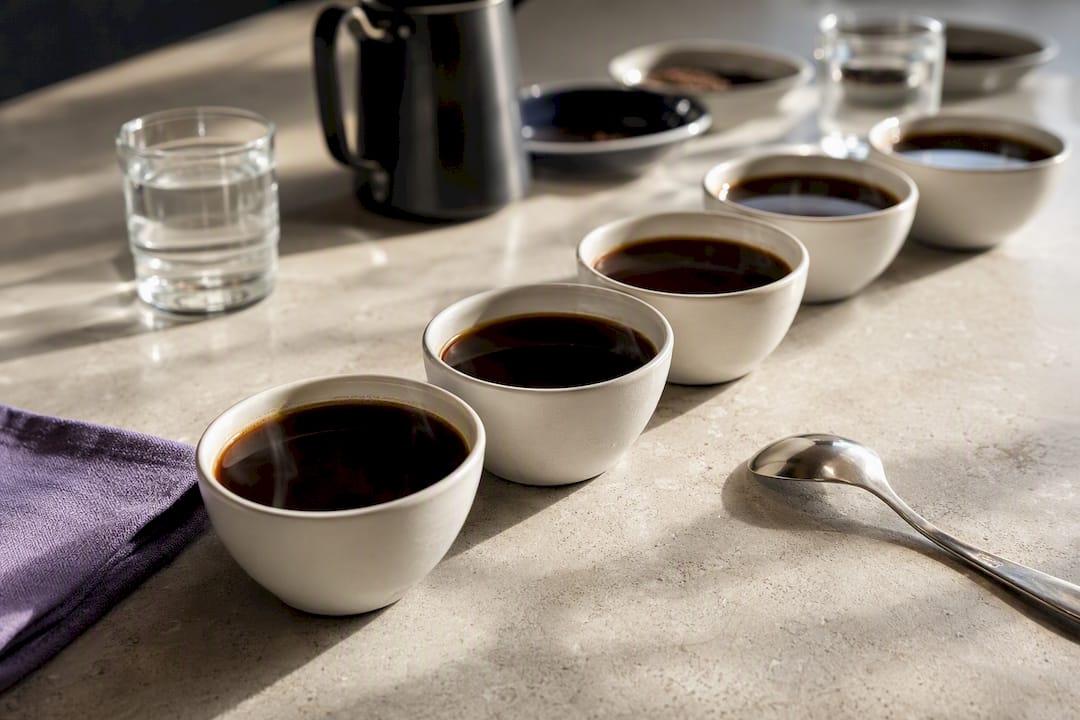 Black coffee cups prepared for tasting