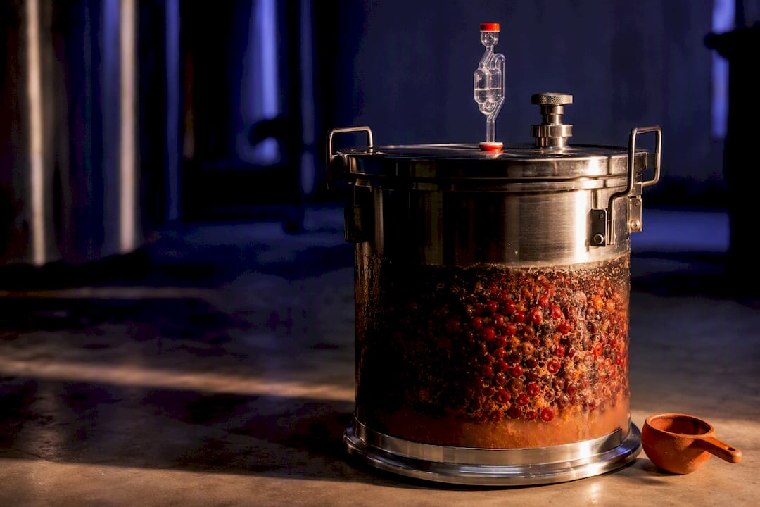 Control Anaerobic Coffee Fermentation for Producers & Roasters, 24–72 Hours