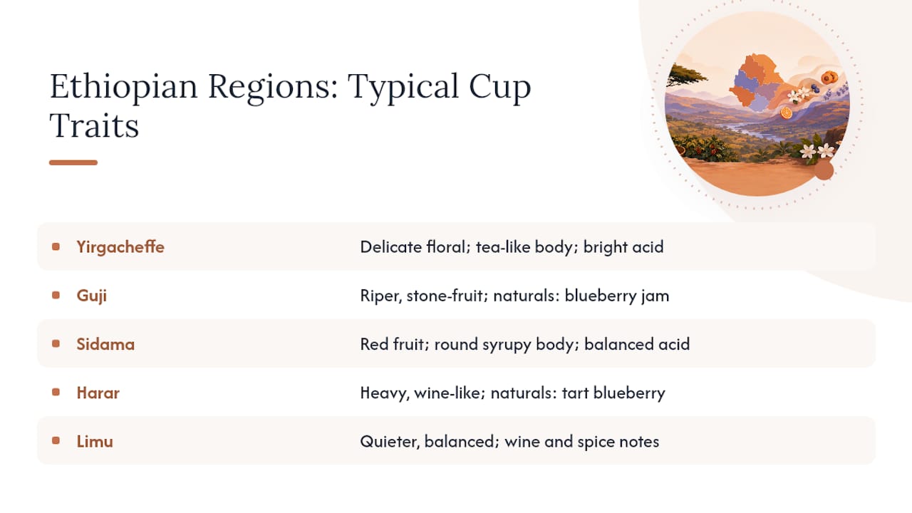 Ethiopian coffee regions and flavor profiles