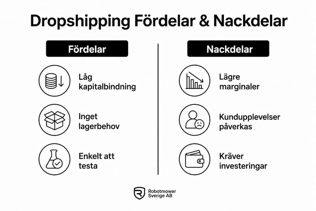 En överskådlig infografik som visar både för- och nackdelar med dropshipping