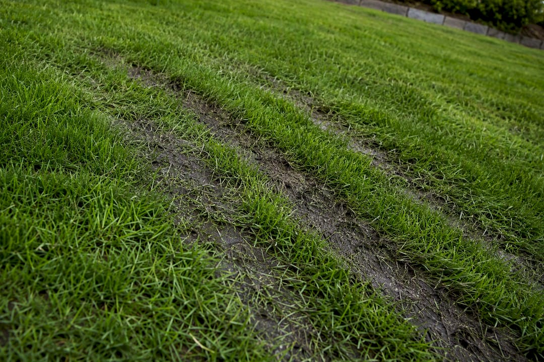 Hjulspår i mjuk jord på en våt gräsmatta