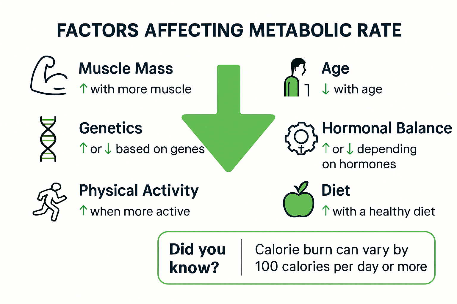 Infographic showing main factors affecting metabolism