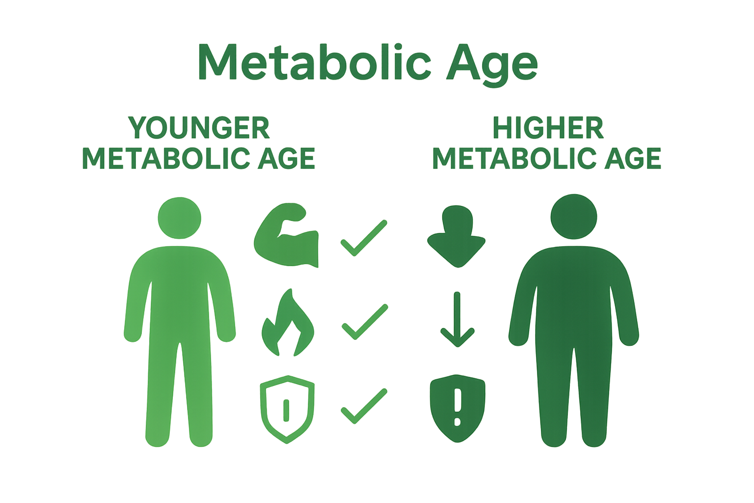 Comparison of younger vs. older metabolic age with muscle and energy icons