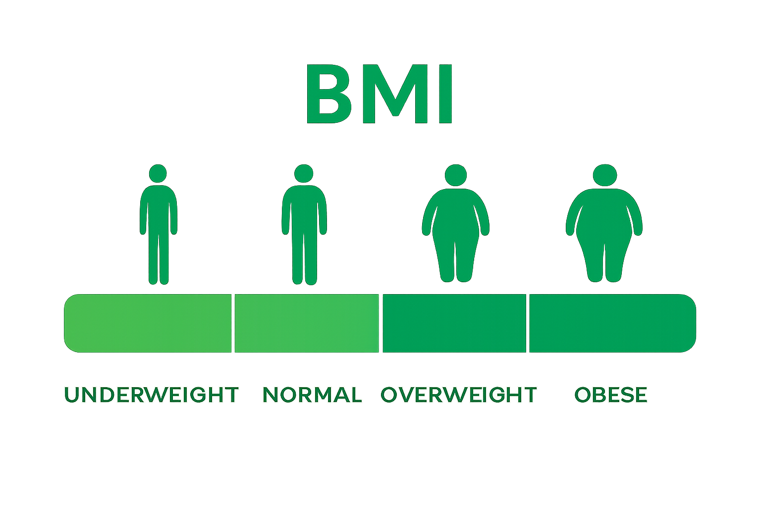 Color-coded BMI category breakdown infographic