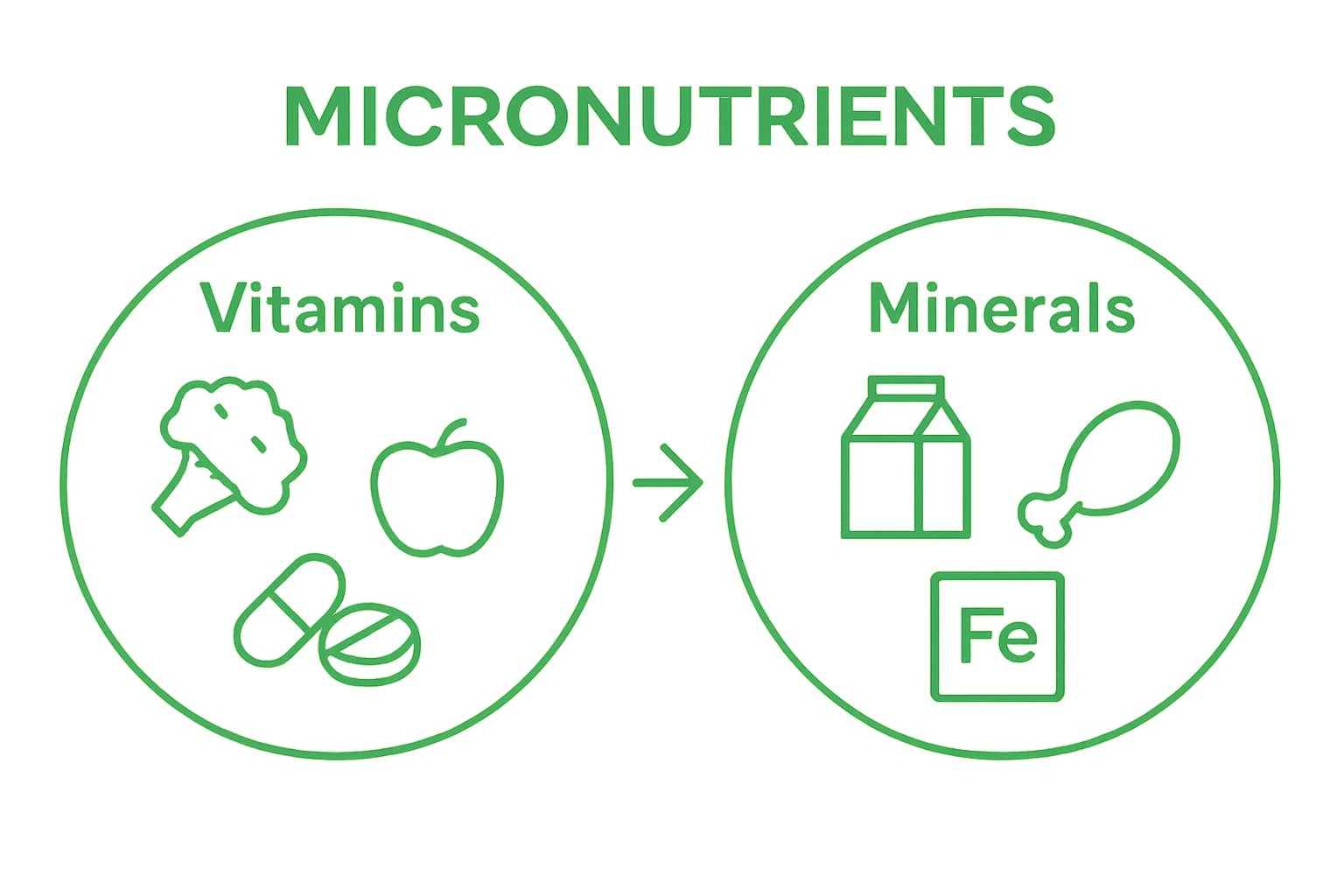 Vitamins and minerals comparison infographic with food icons