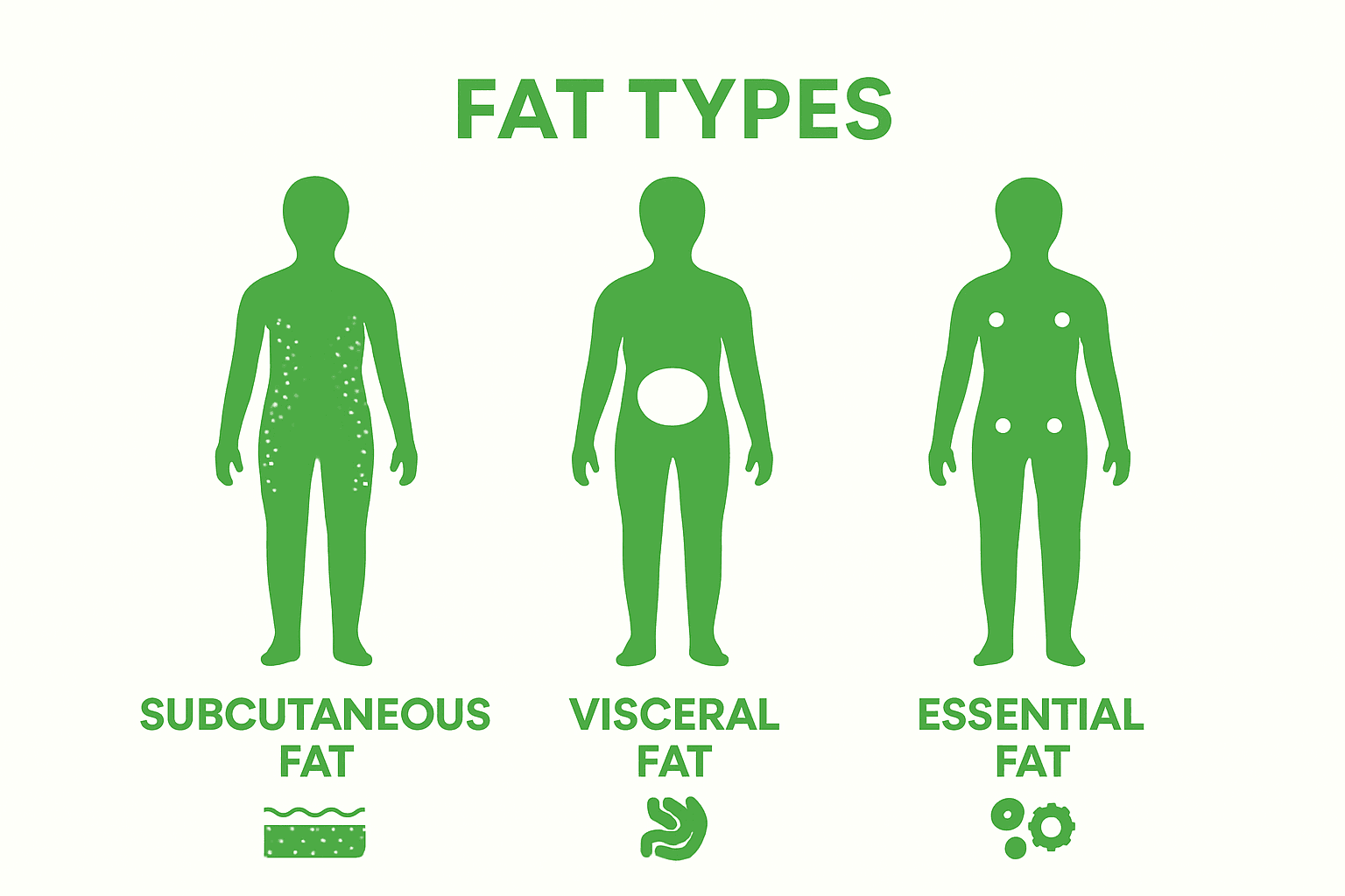 Comparison of subcutaneous, visceral, and essential body fat types