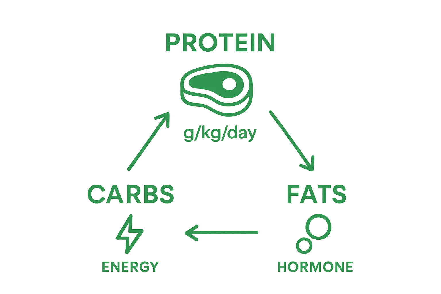 Simple infographic compares protein, carbs, and fats for muscle gain