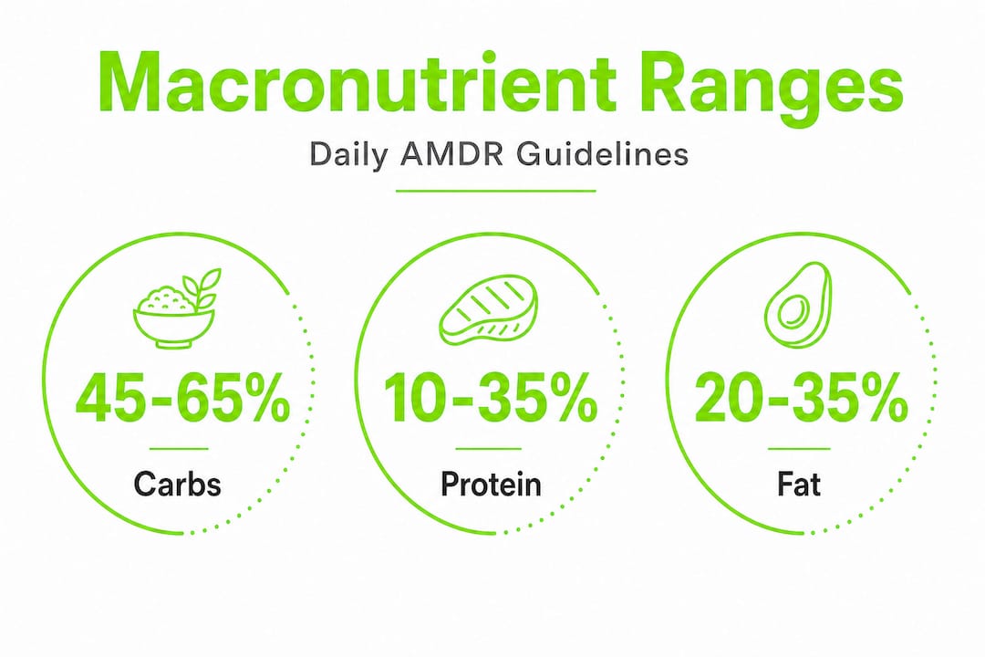 Master the basics of macronutrients for better nutrition 2 Infographic showing AMDR macronutrient ranges