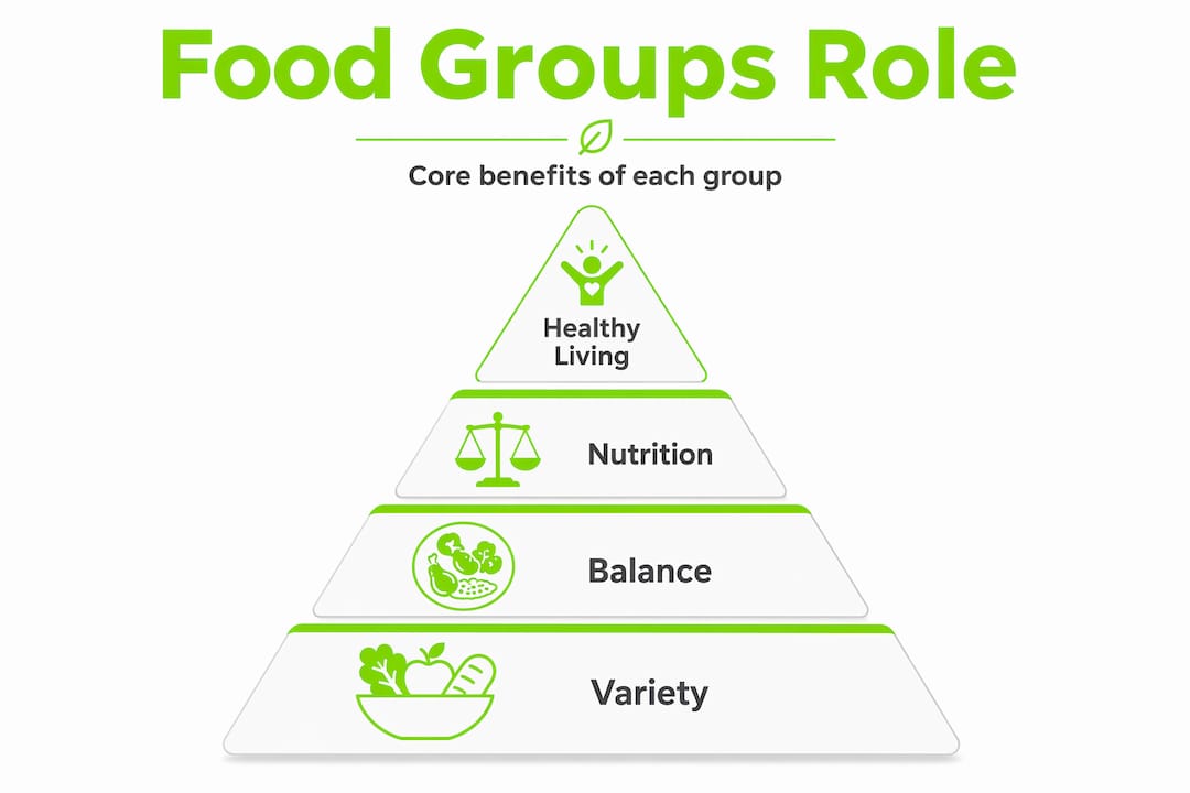 Food groups explained: build a balanced diet with confidence 2 Hierarchy infographic illustrating core roles of food groups