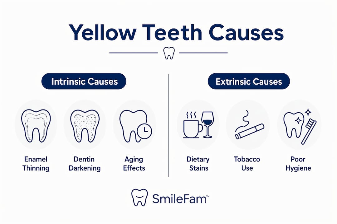 Infographic contrasting intrinsic and extrinsic causes of yellow teeth