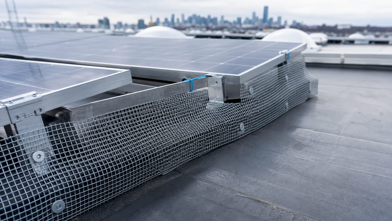 Close-up of mesh critter guard on solar panel edge