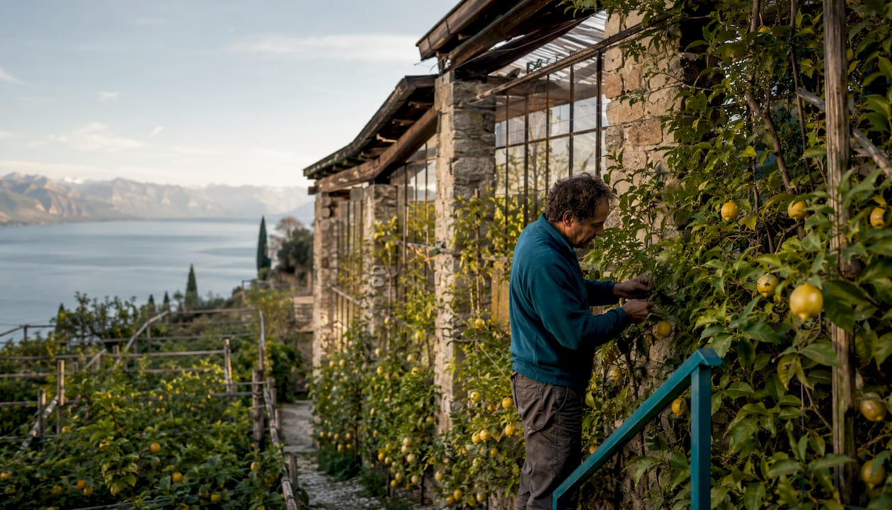 Antica limonaia con profumati agrumi e fioriere curate