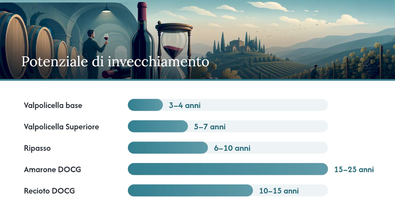 Infografica comparativa delle tipologie di vino Valpolicella