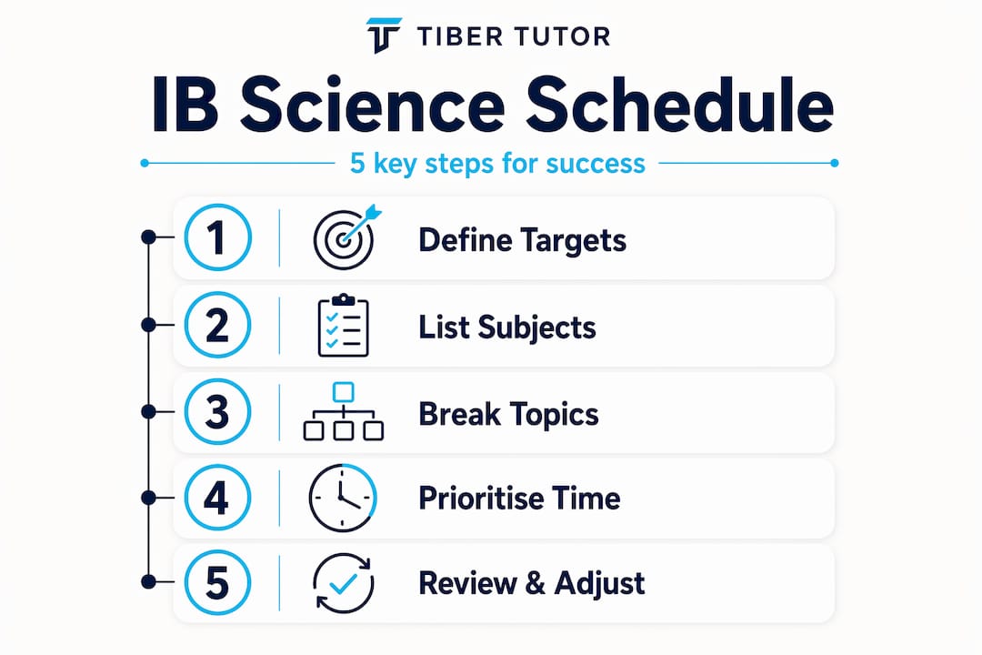 Infographic showing IB science study schedule steps