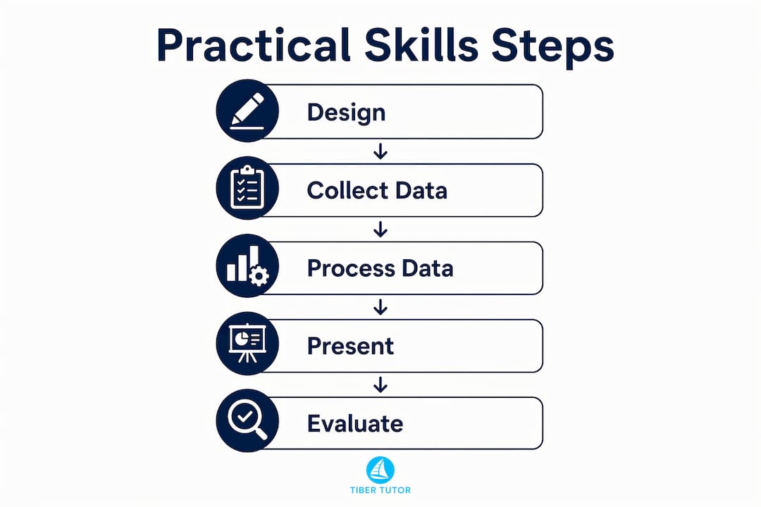 Infographic illustrating practical skills process steps