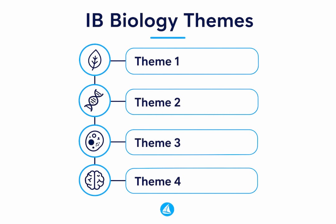 Infographic showing IB biology themes in vertical flow