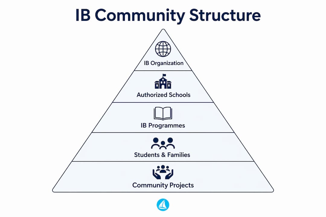Infographic depicting IB community hierarchical structure