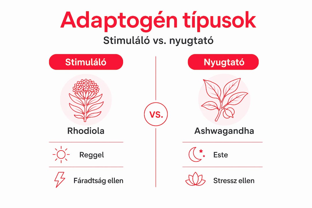 Friss, látványos infografika az adaptogének különböző típusainak összehasonlításáról