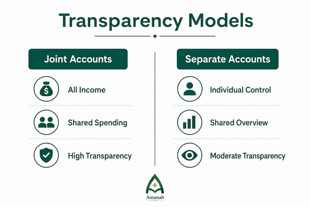 Infographic comparing financial transparency models