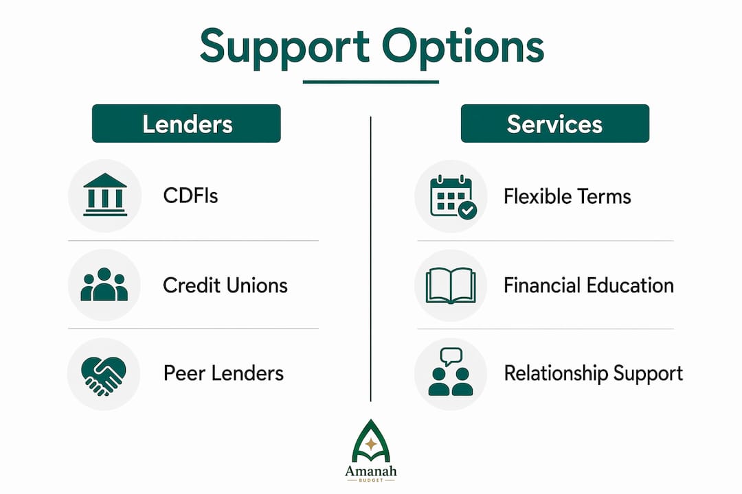 Infographic comparing community lenders and services