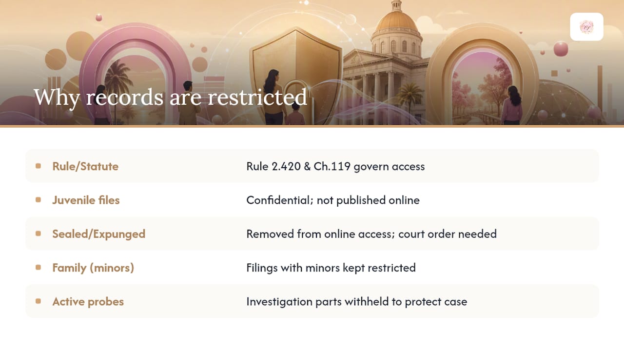 Categories of restricted court records
