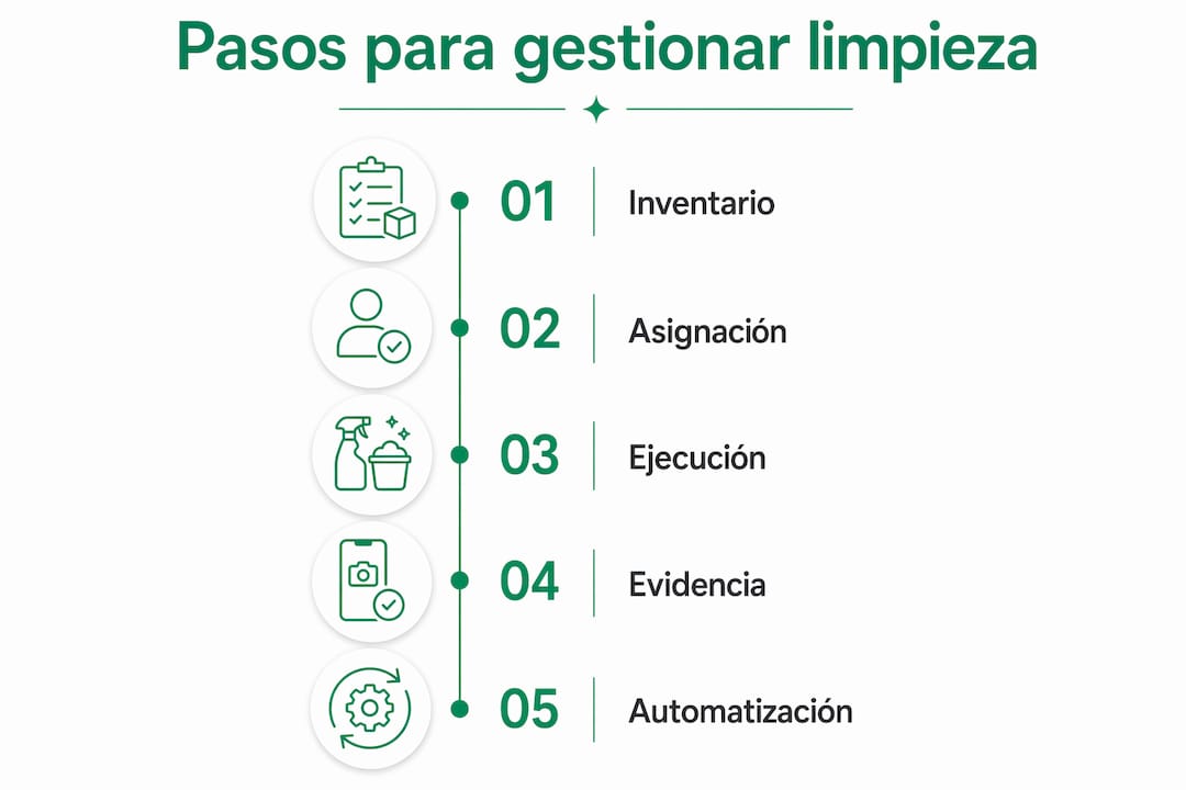 Infografía: guía práctica para limpiar y cuidar las tapicerías