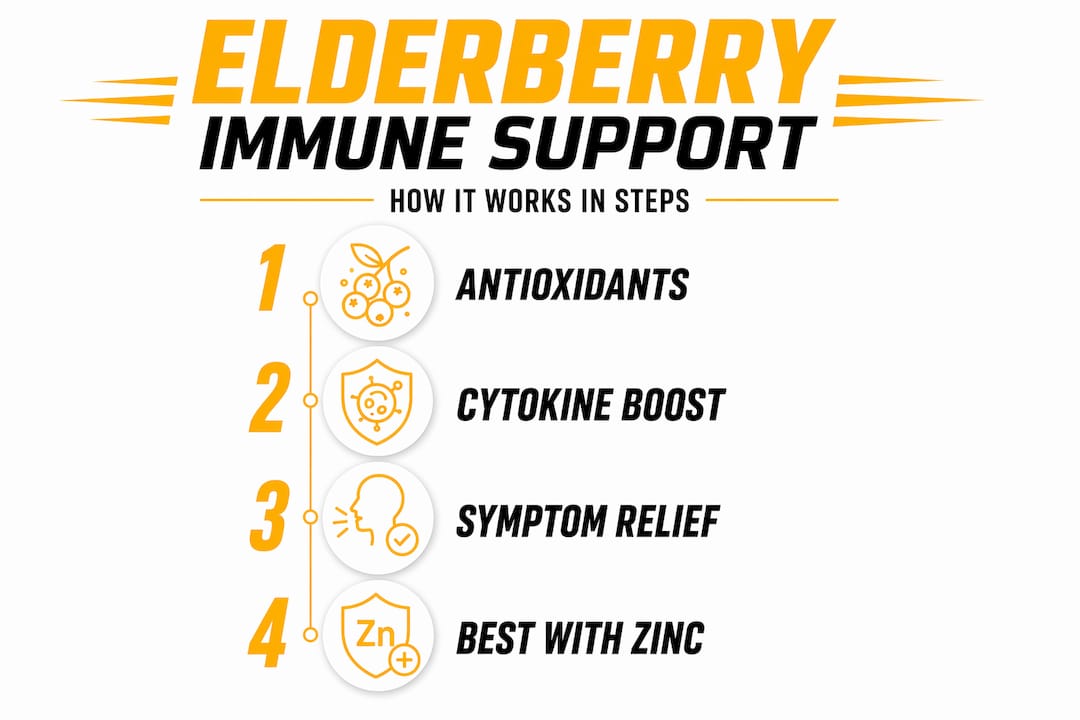 Elderberry immune support steps flow infographic