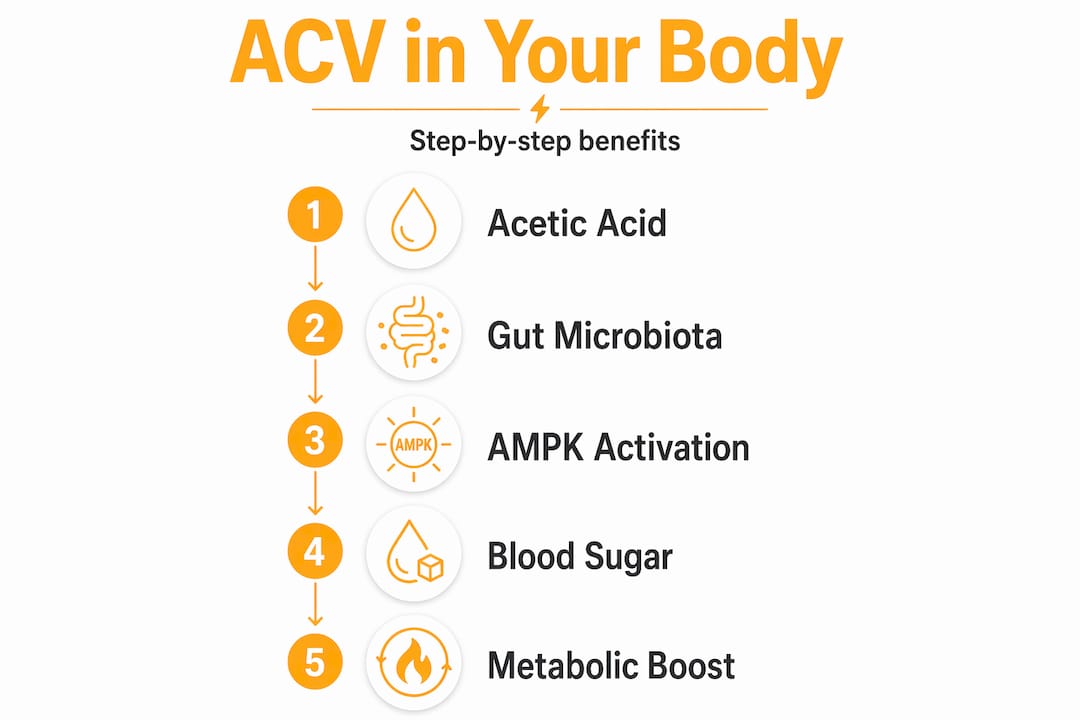 Vertical infographic showing ACV benefits step by step