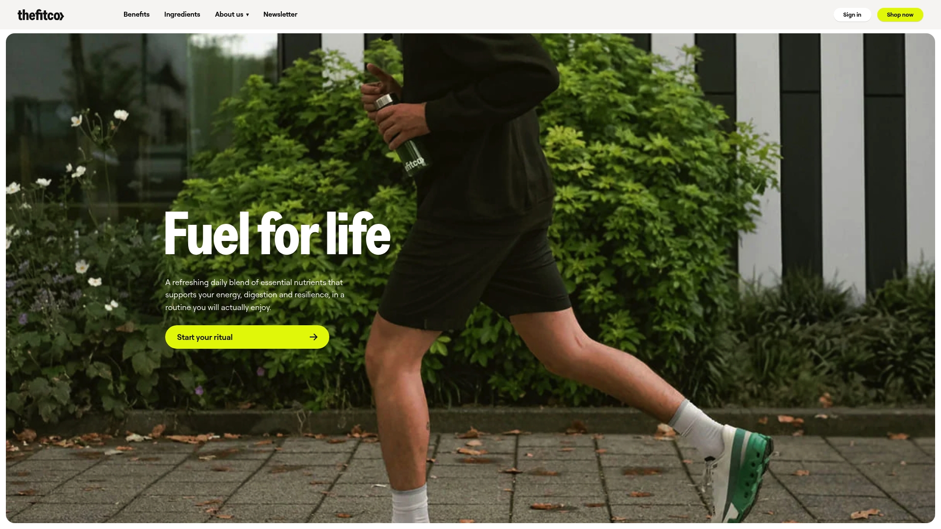 https://thefitco.eu