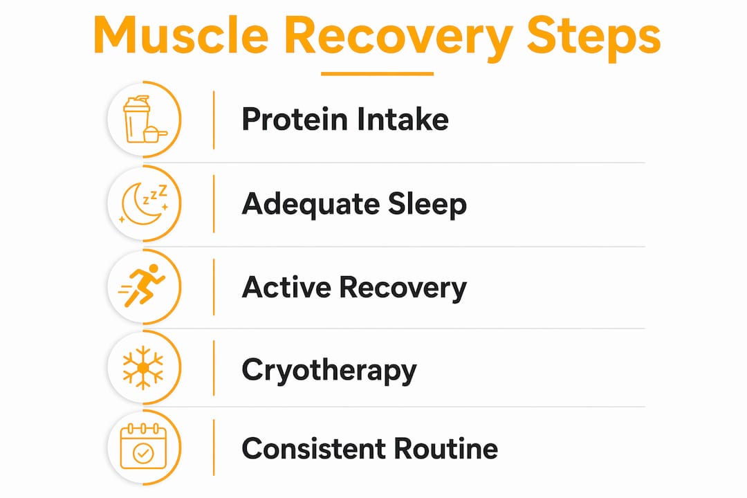 Infographic showing muscle recovery process steps