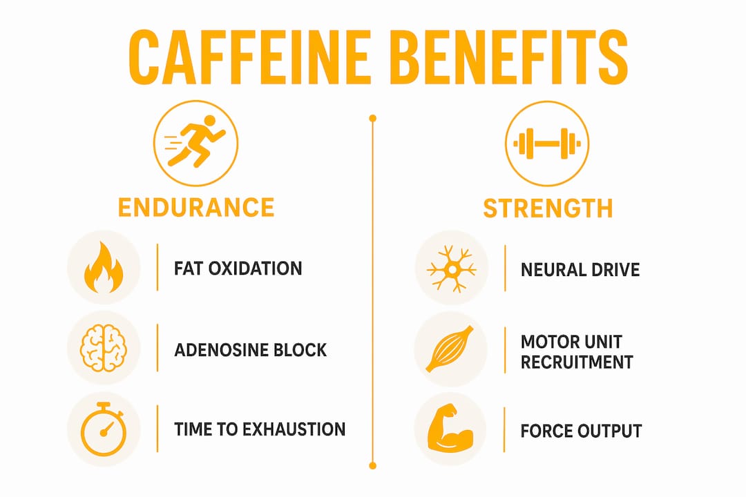 Infographic comparing caffeine benefits for endurance and strength