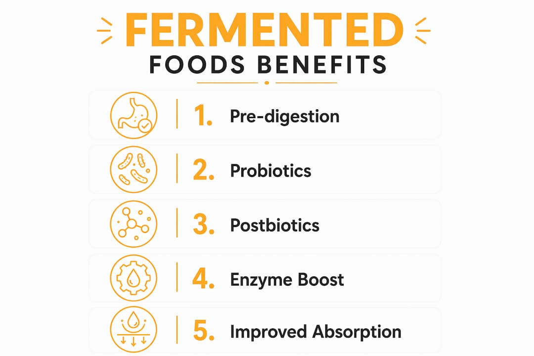 Infographic showing five key digestion benefits of fermented foods