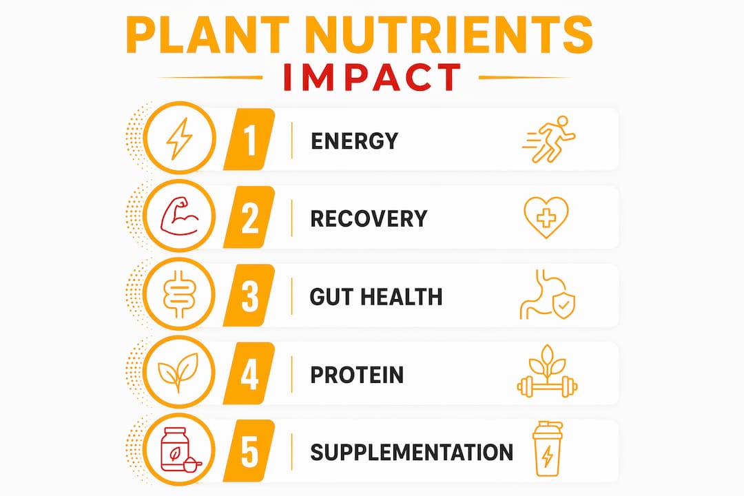 Infographic illustrating stages of plant nutrients impact on performance