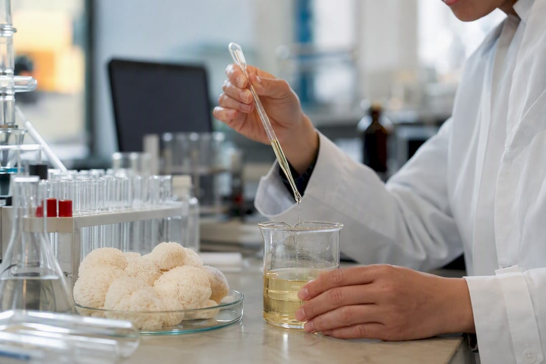 Hands extracting cordyceps compounds in lab