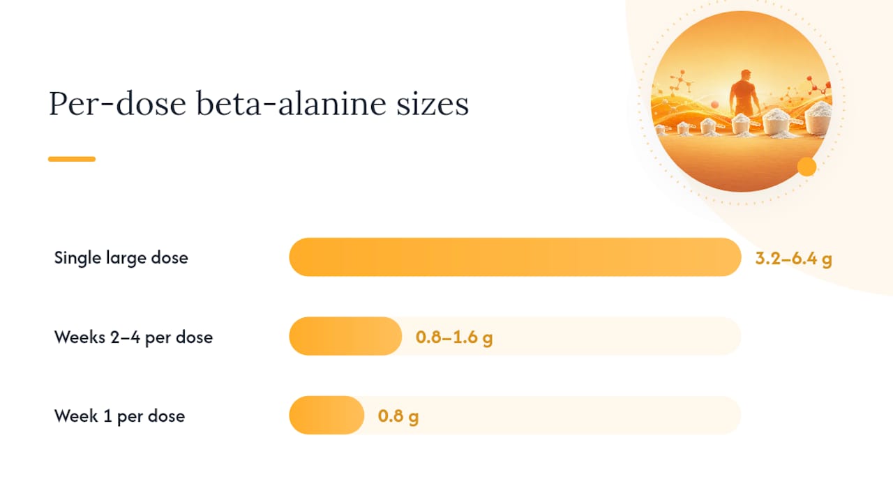 Comparison of beta-alanine dosing methods and tingling side effects