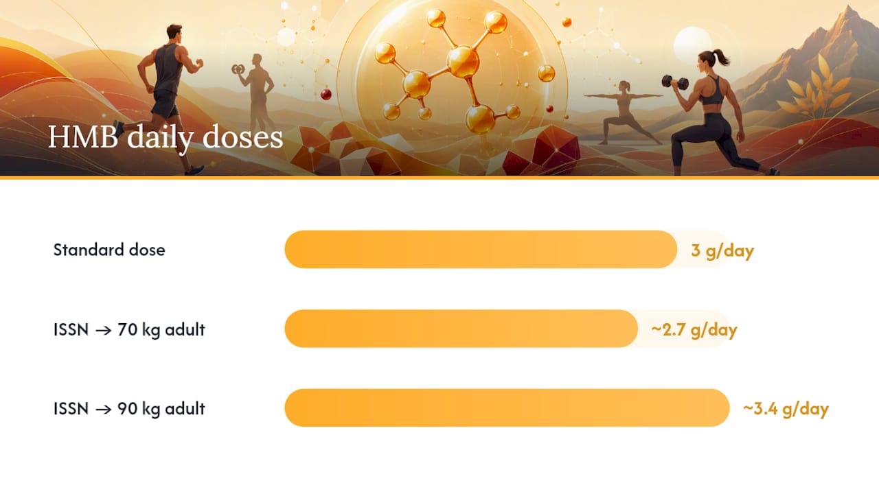 HMB daily dose comparison by body weight
