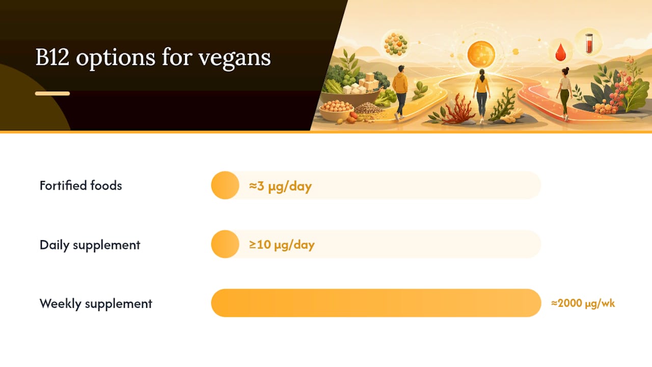 Three vegan B12 dosing paths compared