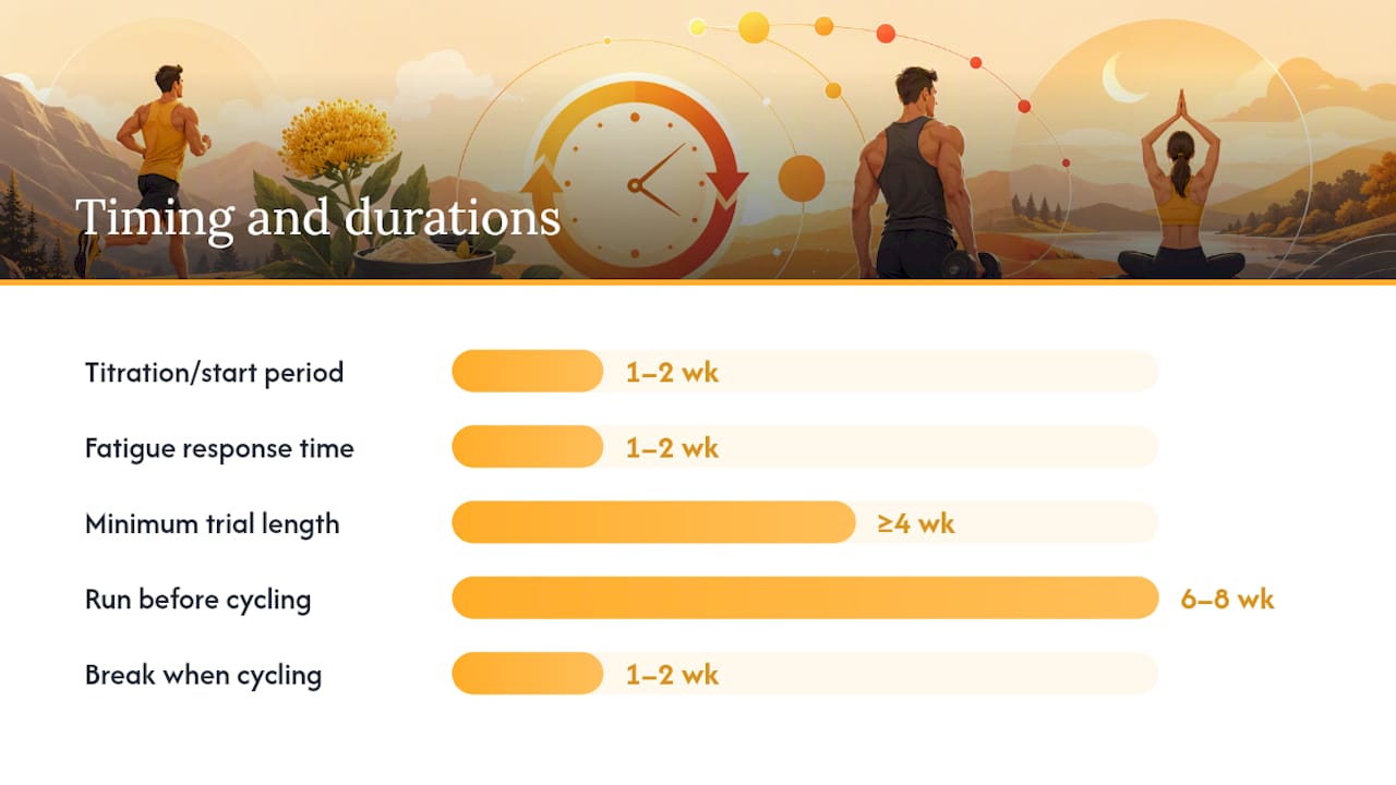 How Much Rhodiola Should You Take and When? — overview diagram