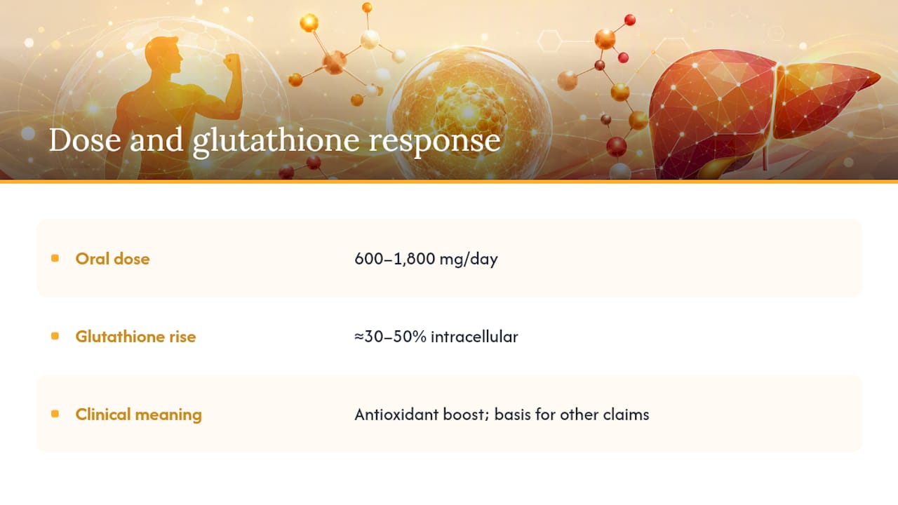 NAC dosage and glutathione increase ranges